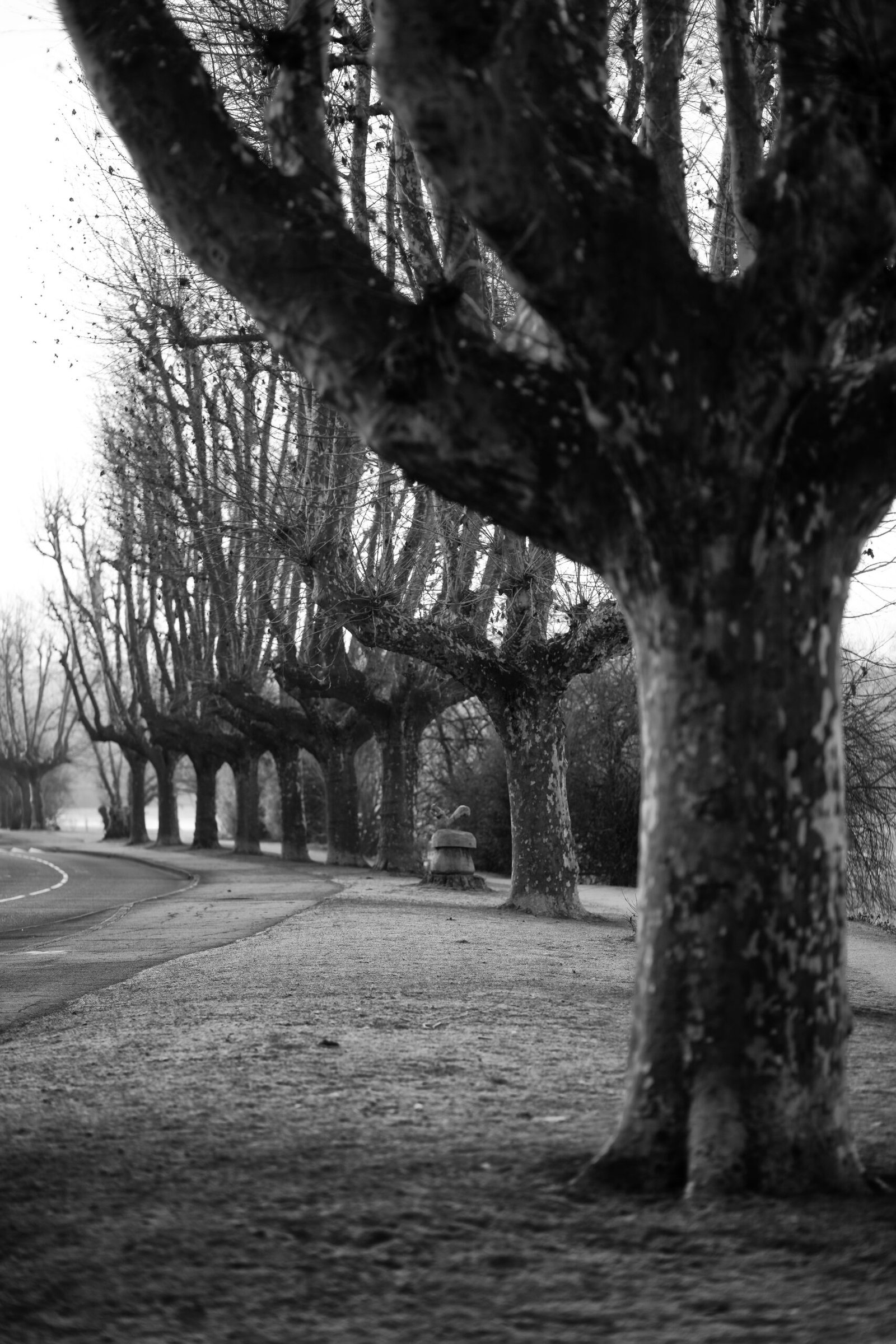 Paysages & Architecture — photographie 5 par David Amadieu
