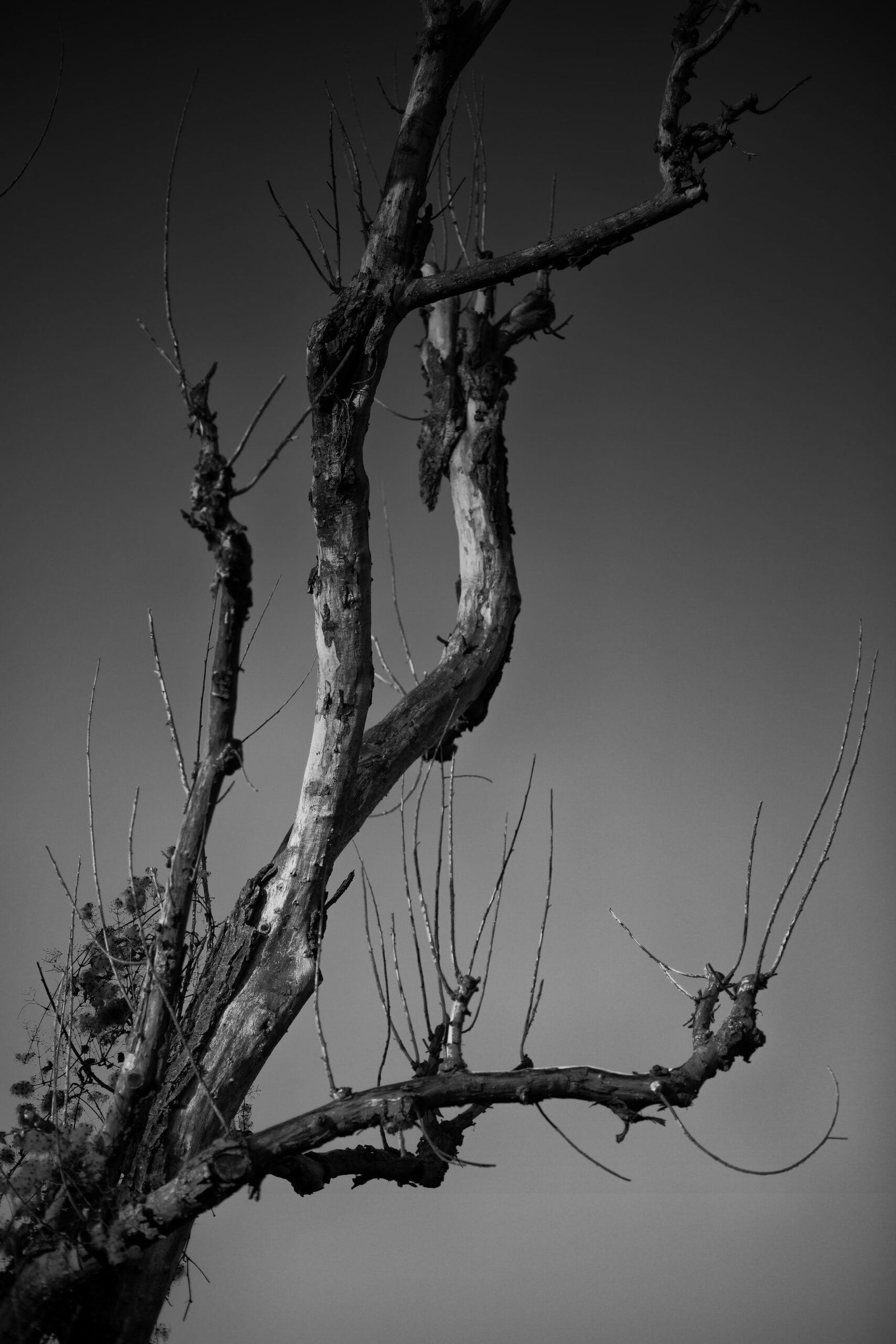 Paysages & Architecture — photographie 6 par David Amadieu