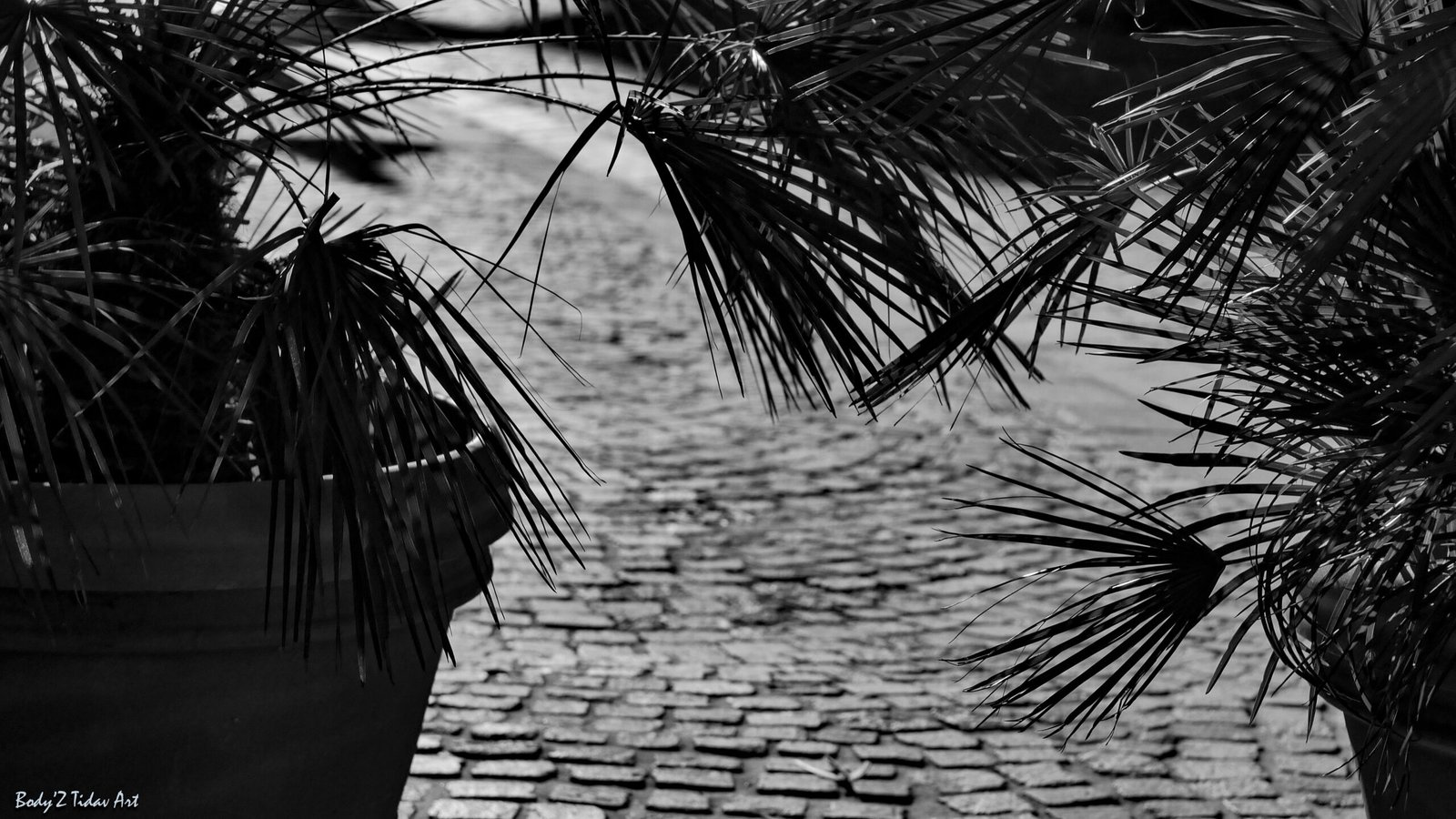 Paysages & Architecture — photographie 27 par David Amadieu